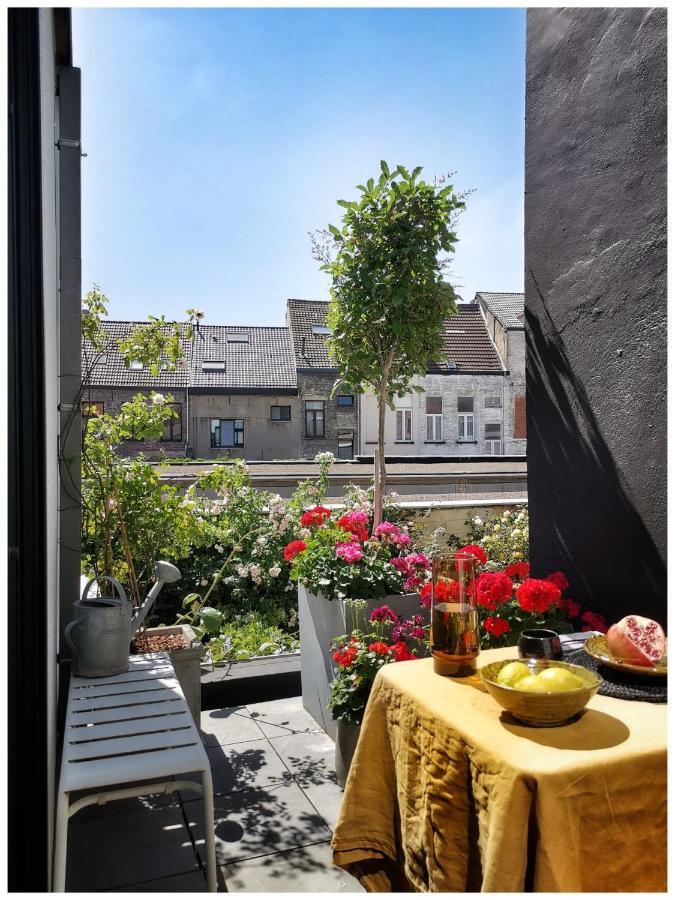 Studio Spiegelhof Gent Dış mekan fotoğraf